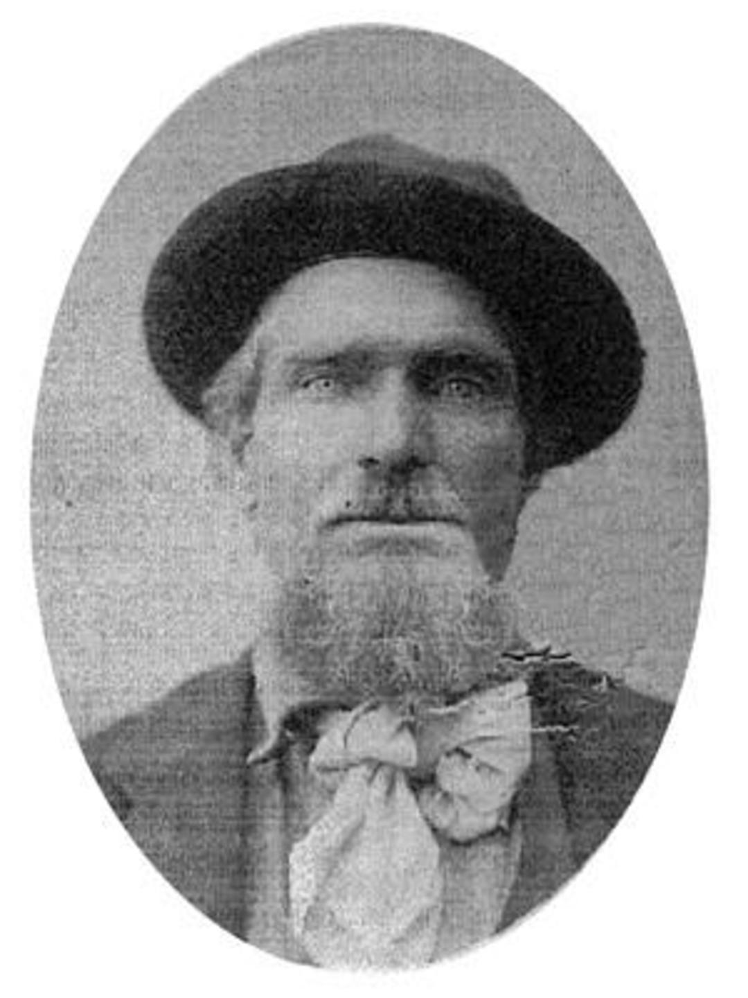 David Carlos Terry (1844 - 1906) Profile